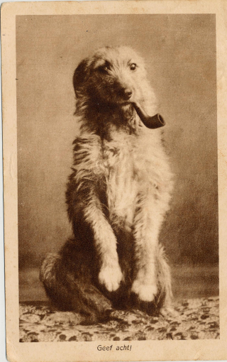 Illustration for article titled Even In The 1900s, Humans Were Obsessed With Photos Of Dogs In Clothes